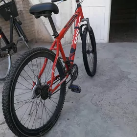26 lyk