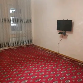 MIR_7