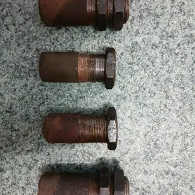 Turwa rezweli taze