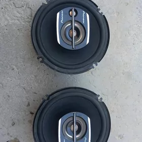 Pioneer nikil 300lik