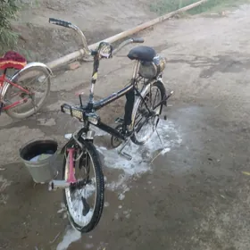 welli bezeyas