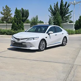 Toyota Camry 2019