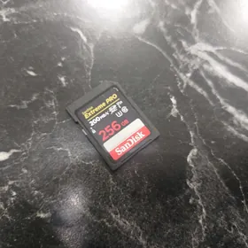 cip 256 GB