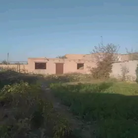 Daca satlyk
