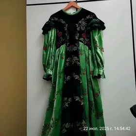 Koynok