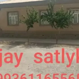 Plan jay