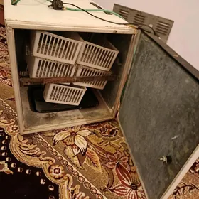 inkubator инкубатор