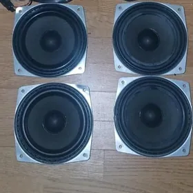 e39 morda kalonkalary