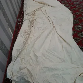сиенна машына япынжа