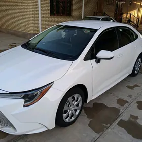 Toyota Corolla 2020