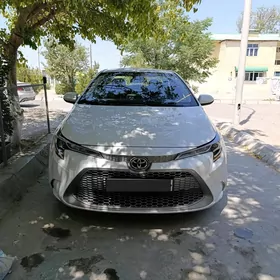Toyota Corolla 2020