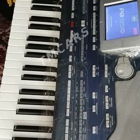 KORG Pa800