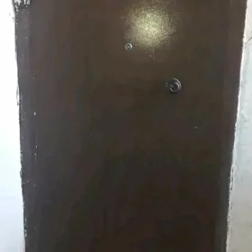 железная дверь
