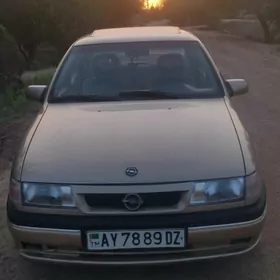 Opel Omega 1991