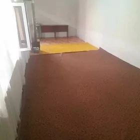 1 komnat arenda