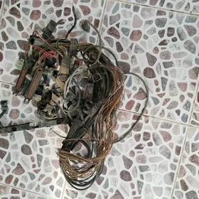 Mator prawoda