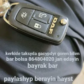 pult yitdi Daf