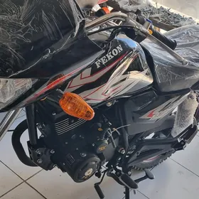 Fekon FK200-14G 2022