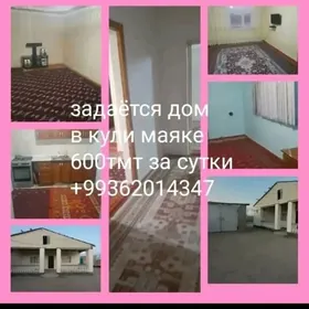 дача кулимаяк за сутки