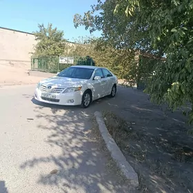 Toyota Camry 2010