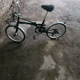 kama eplenyan velik