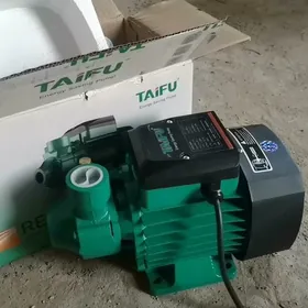 TauFU nasos