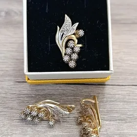 Komplekt gyzyl altyn