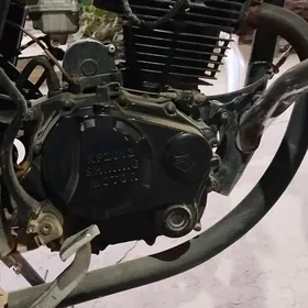 fekon motor