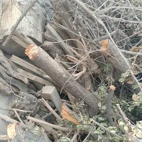 Odun