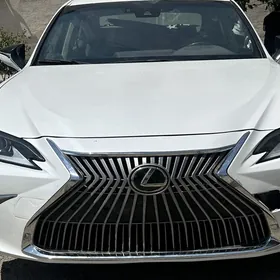 Lexus fara arginal