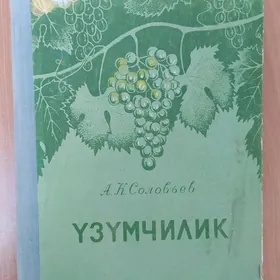 Kitap