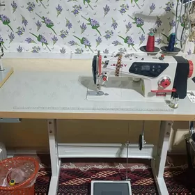 Dikin maşyn.