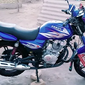Fekon FK200-14G 2025