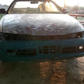 Tayota marino