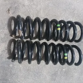 purzyn 210 mers