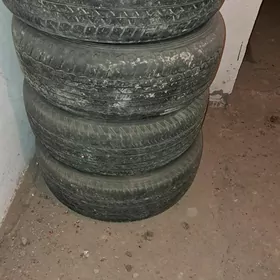 teker pakryska, пакрышка