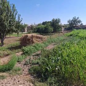 gamyş jaý basyryk üçin