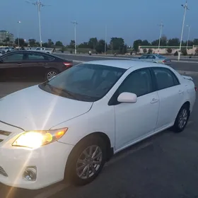 Toyota Corolla 2010