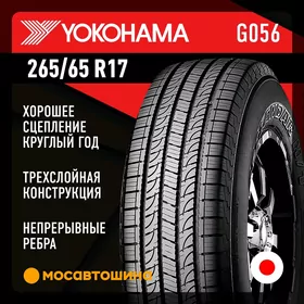 265/65 R17 Prado