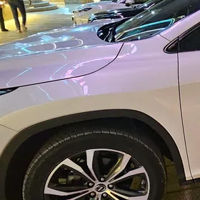 RX350 diska