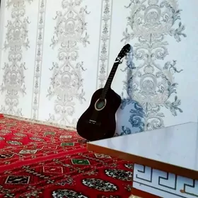 gitara