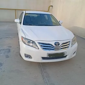 Toyota Camry 2010