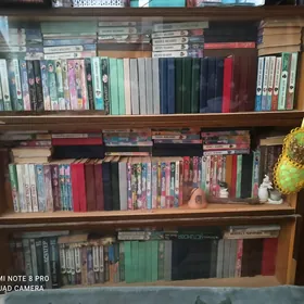 книжныйе полки