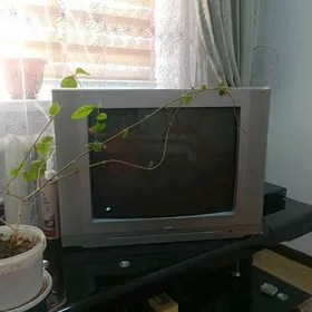 Телевизор