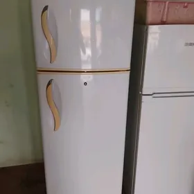 SATYN ALYAS HALADILNIK KANSANE