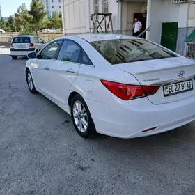Hyundai Sonata 2010