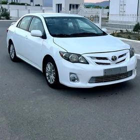 Toyota Corolla 2011