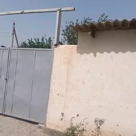 Дом с большим участком земли
