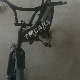 Tigir