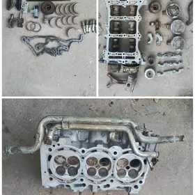 galofk Toyota haylandyr